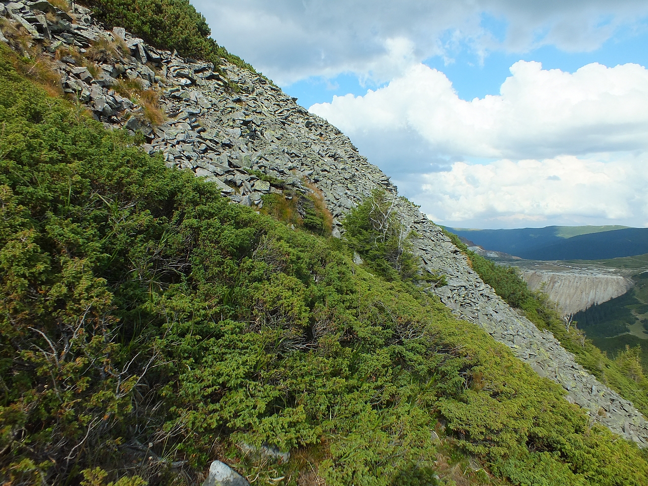 11.08.2012 17:27:35 - Munții Călimani - Rumänien 2012 - Rumänien-Fotos