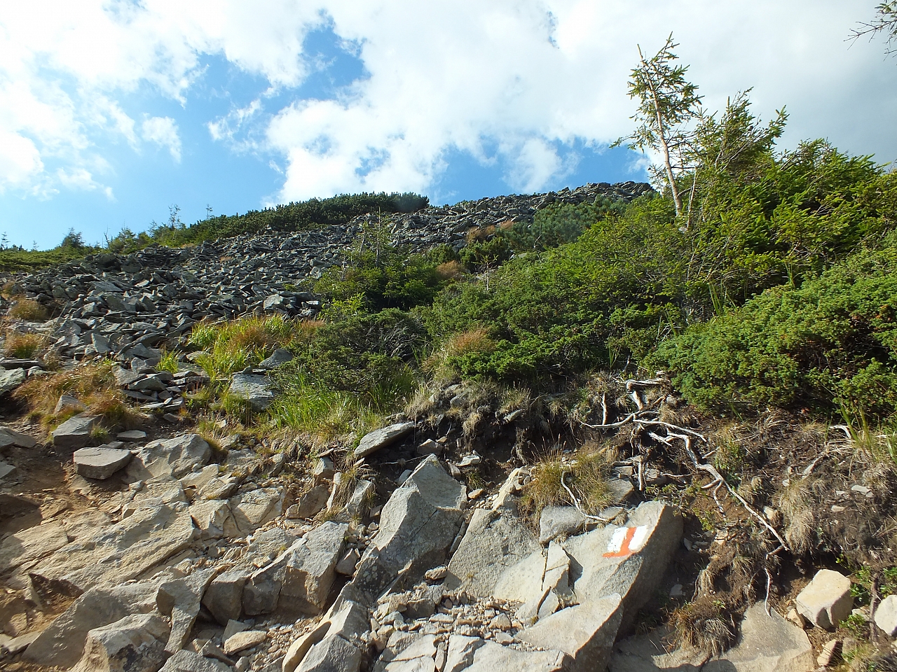 11.08.2012 17:29:19 - Munții Călimani - Rumänien 2012 - Rumänien-Fotos