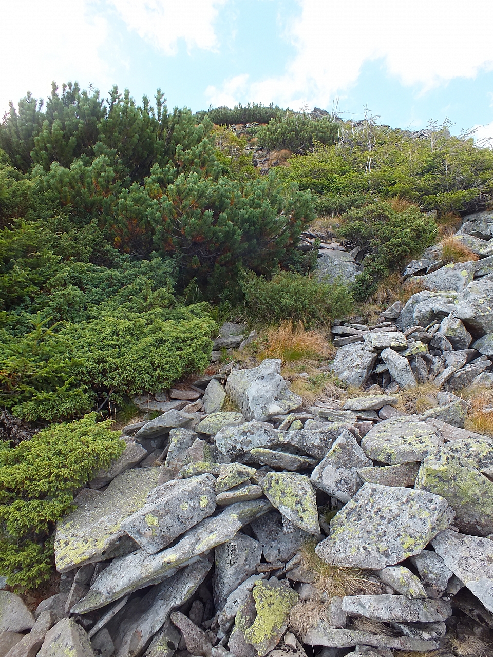 11.08.2012 17:30:11 - Munții Călimani - Rumänien 2012 - Rumänien-Fotos