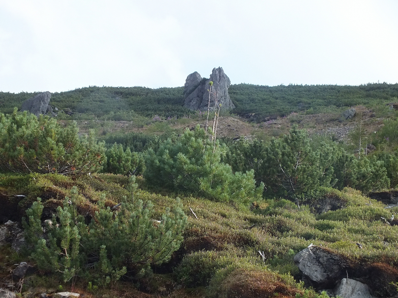 11.08.2012 18:33:30 - Munții Călimani - Rumänien 2012 - Rumänien-Fotos